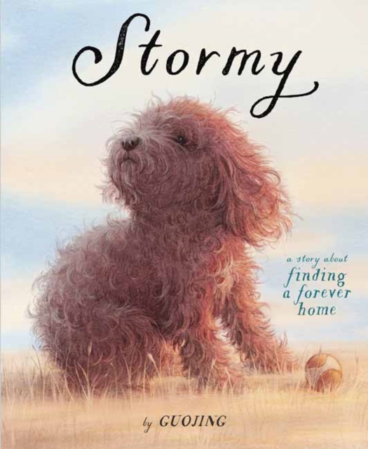Stormy: A Story about Finding a Forever Home - Guojing
