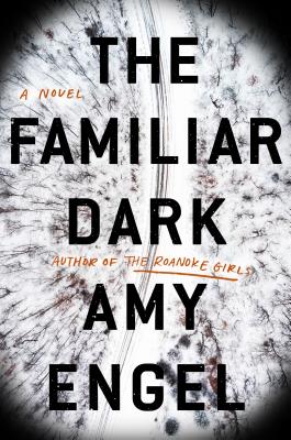 The Familiar Dark - Amy Engel