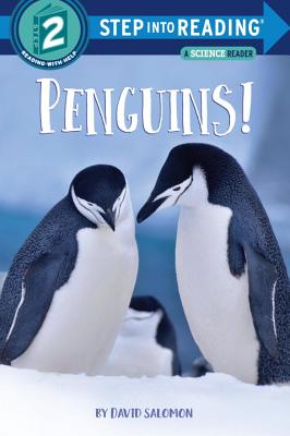 Penguins! - David Salomon