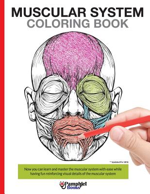 Muscular System Coloring Book: Now you can learn and master the muscular system with ease while having fun - Pamphlet Books