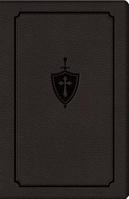 Manual for Conquering Deadly Sin - Dennis Kolinski S. J. C.