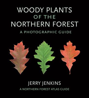 Woody Plants of the Northern Forest: A Photographic Guide - Jerry Jenkins