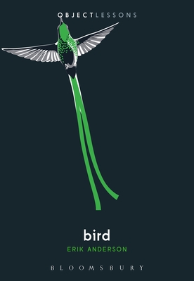 Bird - Erik Anderson
