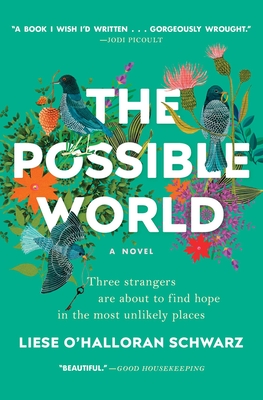 The Possible World - Liese O. Schwarz