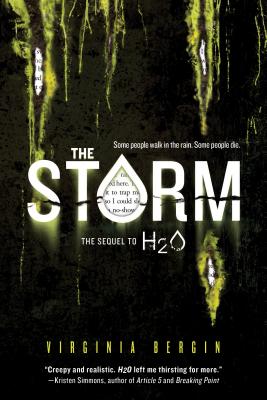 The Storm - Virginia Bergin