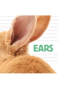 Poza produsului Ears - Katrine Crow