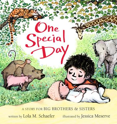 One Special Day: A Story for Big Brothers and Sisters - Lola M. Schaefer