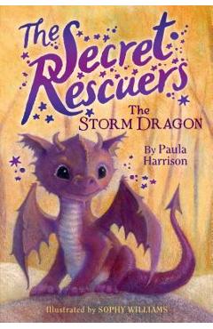 Coperta cărții 'The Storm Dragon, Volume 1 - Paula Harrison'