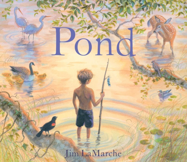 Pond - Jim Lamarche