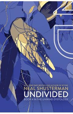 Undivided, Volume 4 - Neal Shusterman