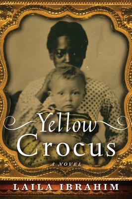 Yellow Crocus - Laila Ibrahim