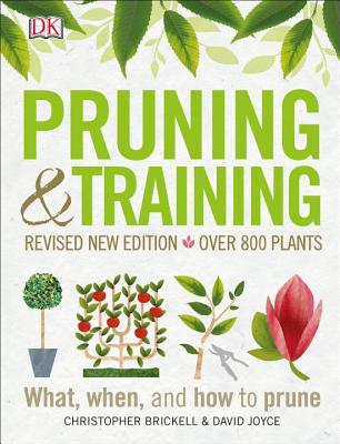 Pruning and Training, Revised New Edition: What, When, and How to Prune - Dk