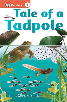 Tale of a Tadpole - Karen Wallace