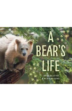 Coperta cărții 'A Bear's Life - Ian Mcallister'