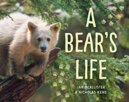 A Bear's Life - Ian Mcallister