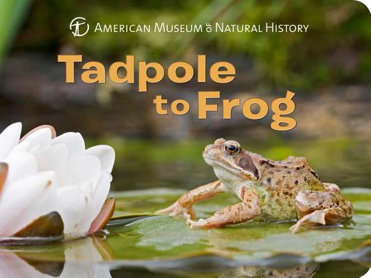 Tadpole to Frog - American Museum Of Natural History
