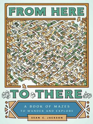 From Here to There: A Book of Mazes to Wander and Explore (Maze Books for Kids, Maze Games, Maze Puzzle Book) - Sean C. Jackson