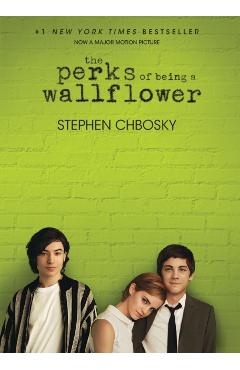 The Perks of Being a Wallflower - Stephen Chbosky