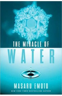 The Miracle of Water - Masaru Emoto