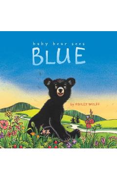 Poza produsului Baby Bear Sees Blue - Ashley Wolff