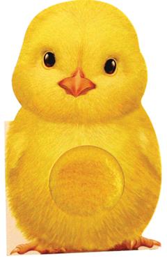 Coperta cărții 'Furry Chick - Annie Auerbach'