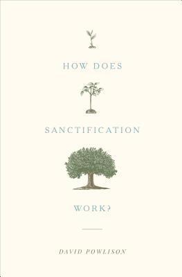 How Does Sanctification Work? - David Powlison