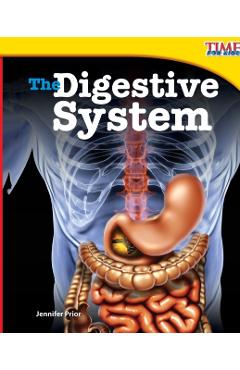 The Digestive System (Fluent Plus) - Jennifer Prior