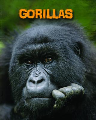 Gorillas - Lori Mcmanus