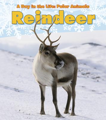 Reindeer - Katie Marsico