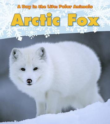 Arctic Fox - Katie Marsico