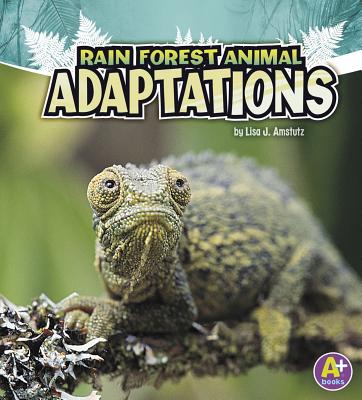 Rain Forest Animal Adaptations - Lisa J. Amstutz