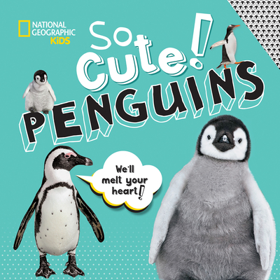 So Cute: Penguins - Crispin Boyer