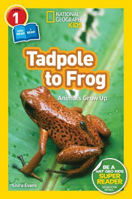 National Geographic Readers: Tadpole to Frog (L1/Co-Reader) - Shira Evans