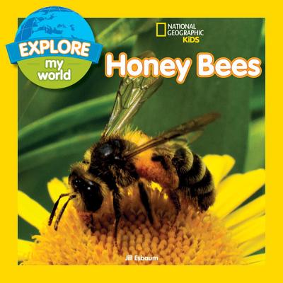 Explore My World: Honey Bees - Jill Esbaum