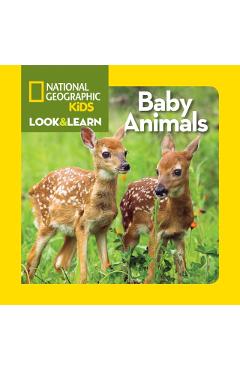 Baby Animals - National Geographic Kids