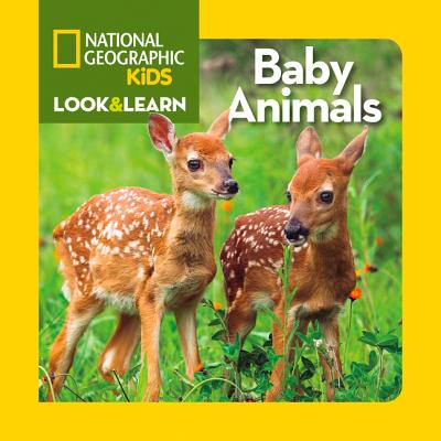 Baby Animals - National Geographic Kids