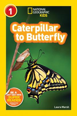Caterpillar to Butterfly - Laura Marsh