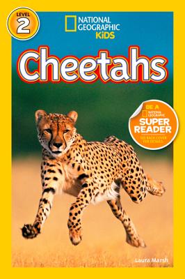 Cheetahs - Laura Marsh