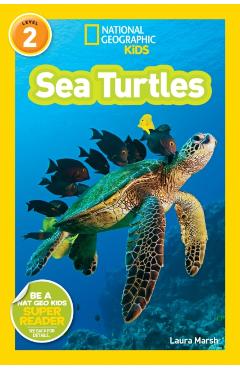 Sea Turtles - Laura Marsh