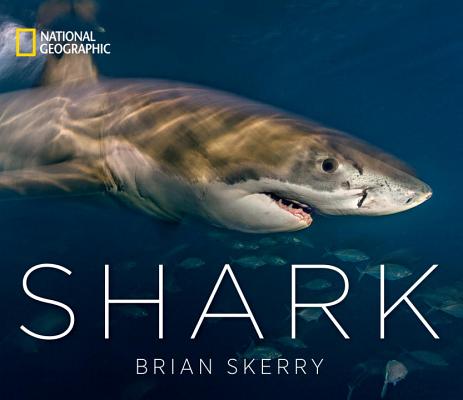 Shark - Brian Skerry