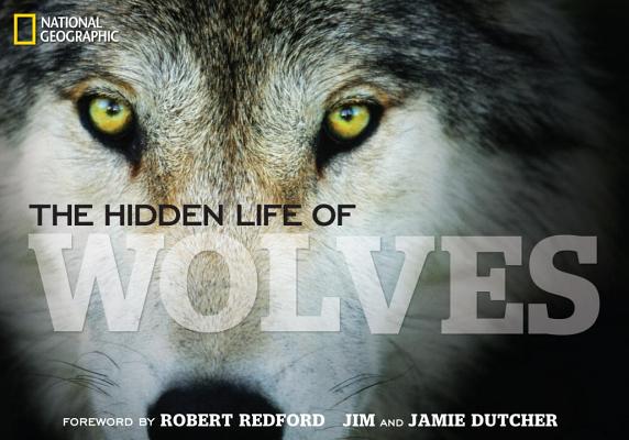 The Hidden Life of Wolves - Jim Dutcher