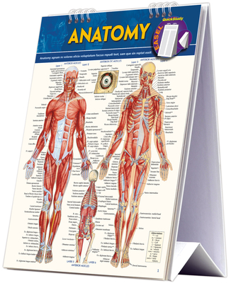Anatomy Easel Book: A Quickstudy Reference Tool - Vincent Perez