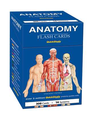 Anatomy Flash Cards - Vincent Perez