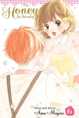 Honey So Sweet, Volume 6 - Amu Meguro