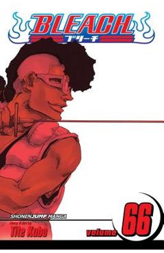 Coperta cărții 'Bleach, Vol. 66, Volume 66 - Tite Kubo'