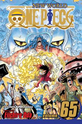 One Piece, Volume 65: New World - Eiichiro Oda