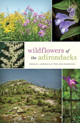 Wildflowers of the Adirondacks - Donald J. Leopold