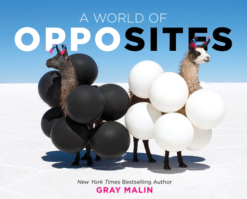 A World of Opposites - Gray Malin