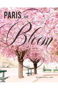 Paris in Bloom - Georgianna Lane