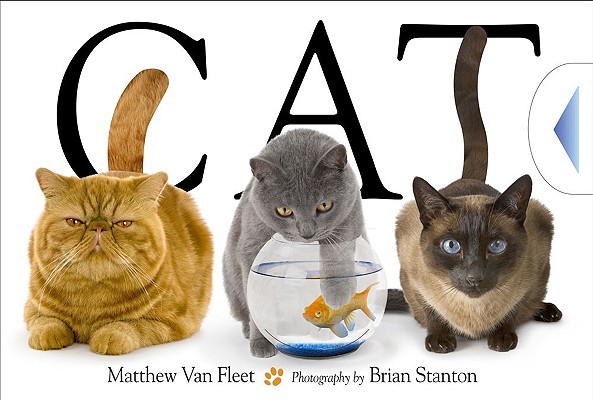 Cat - Matthew Van Fleet
